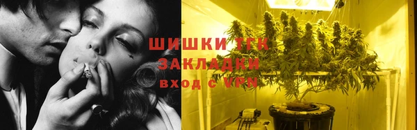 PSILOCYBIN Аркадак