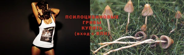 apvp Арсеньев