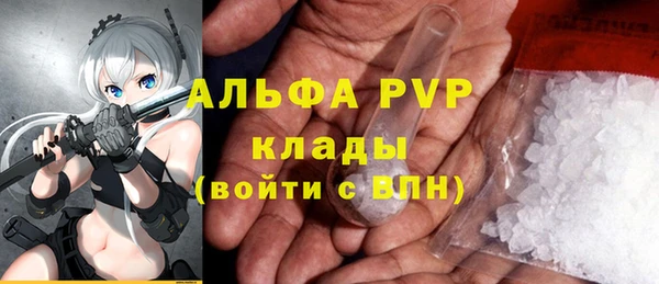 PSILOCYBIN Аркадак