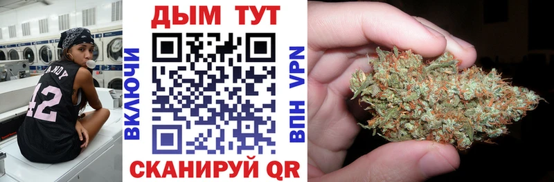 Конопля марихуана  Купить закладки  Питкяранта 